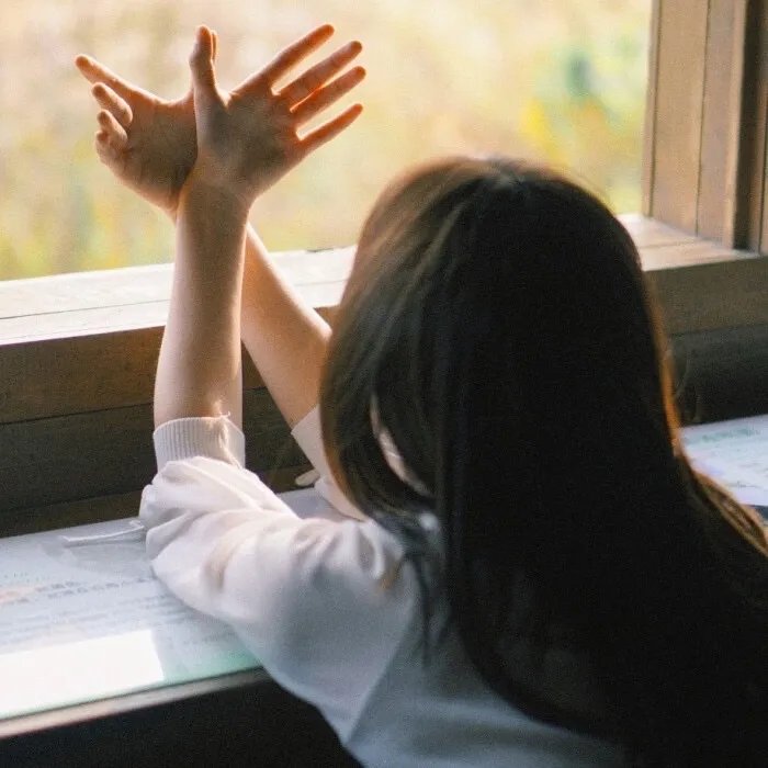 白月光弃我如敝履我选校花你哭啥